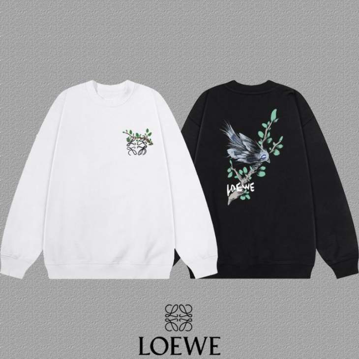Picture of Loewe  Sweatshirt _SKULoeweS-2XLxetr14233636